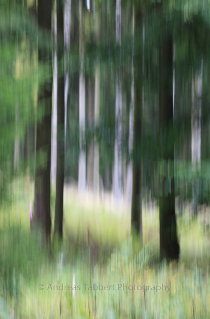 Blurred Local Trunk II